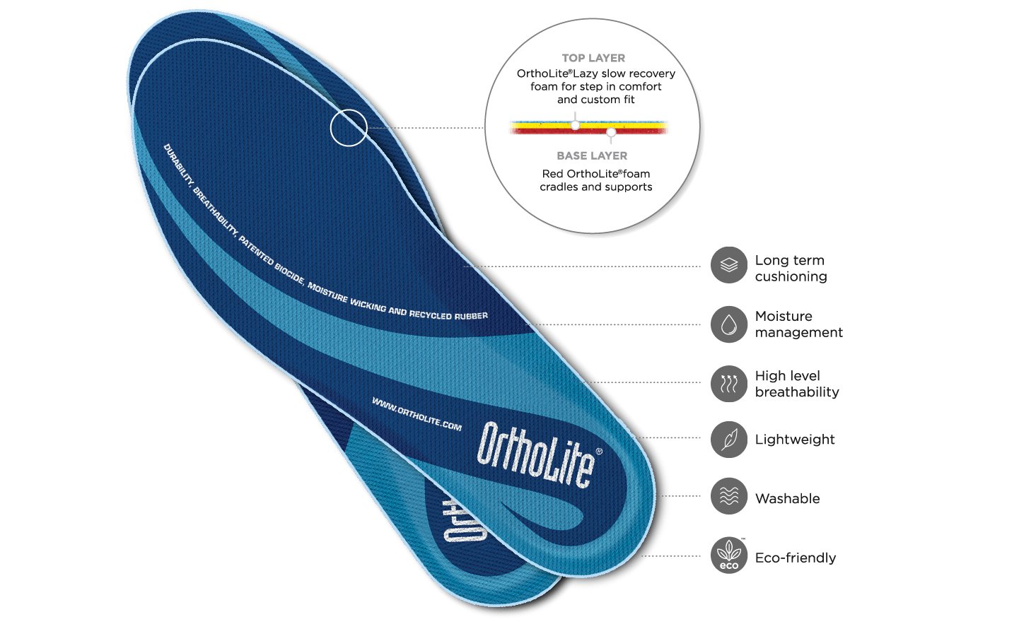 ortholite float insole